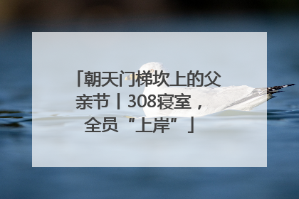 朝天门梯坎上的父亲节丨308寝室，全员“上岸”